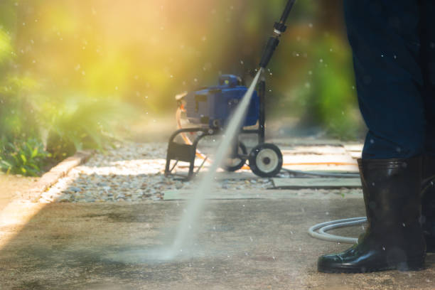 Best Roof Cleaning and Mildew Removal in Toledo, IL